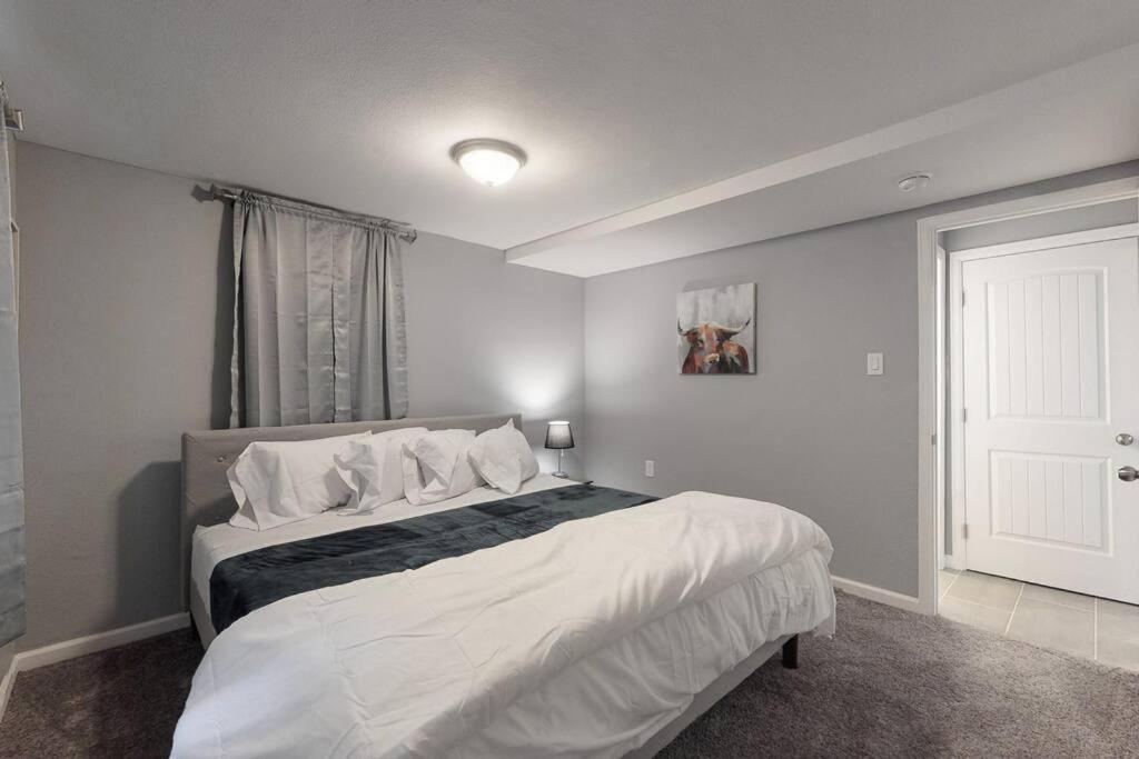 Cheerful Lower Unit With 2 Kings & Highspeed Wifi Denver