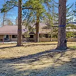 Pines 4042