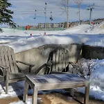 Bear Claw 315 - Ski-In Ski-Out Condo!