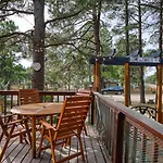 Oakwood 493