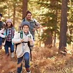 Timber Run