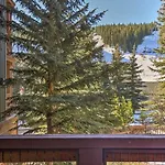 Cozy Copper Mountain Condo With Views, Walk To Lifts