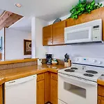 View Of Mt, Crested Butte And Lifts 2 Bedroom Condo Condo