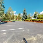 Timber Run