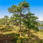 Deer Mountain Lodge South