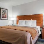 Quality Inn Denver Westminster