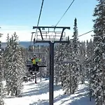 Ski In, Ski Out Cozy Creek Side Cabin W Front Yard