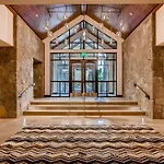 The Lion Vail