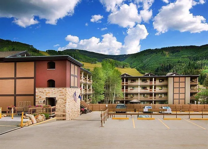 The Wren At Vail