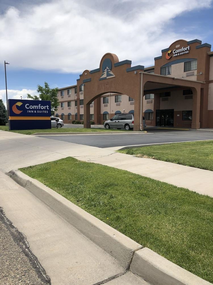 Comfort & Hotel