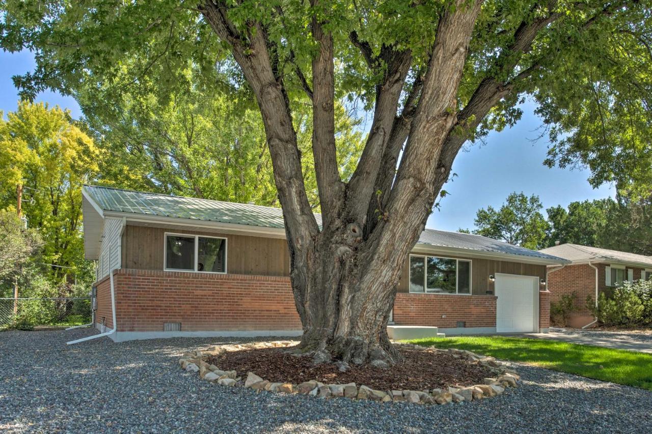Adventure Base Near Skiing And San Juans! Holiday home