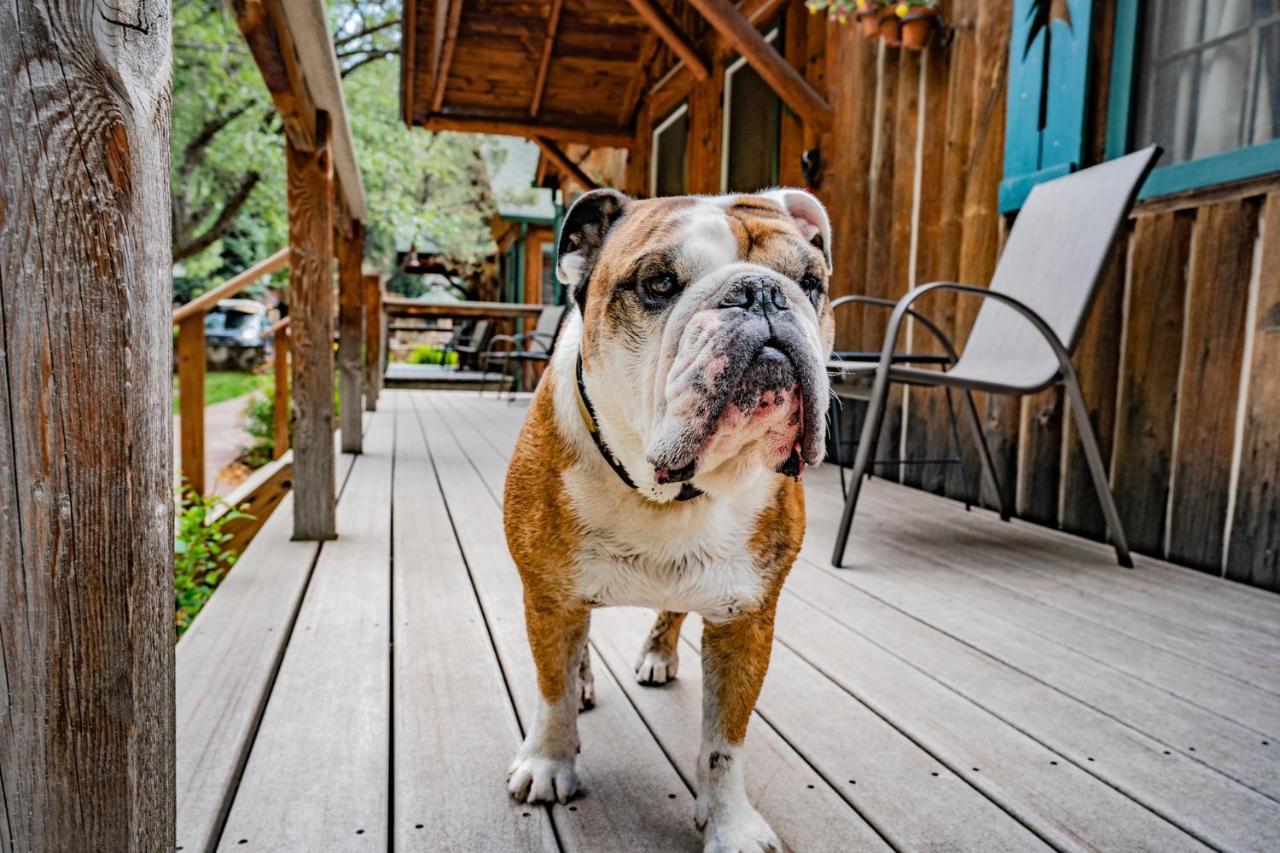 Lodge Colorado Bear Creek *