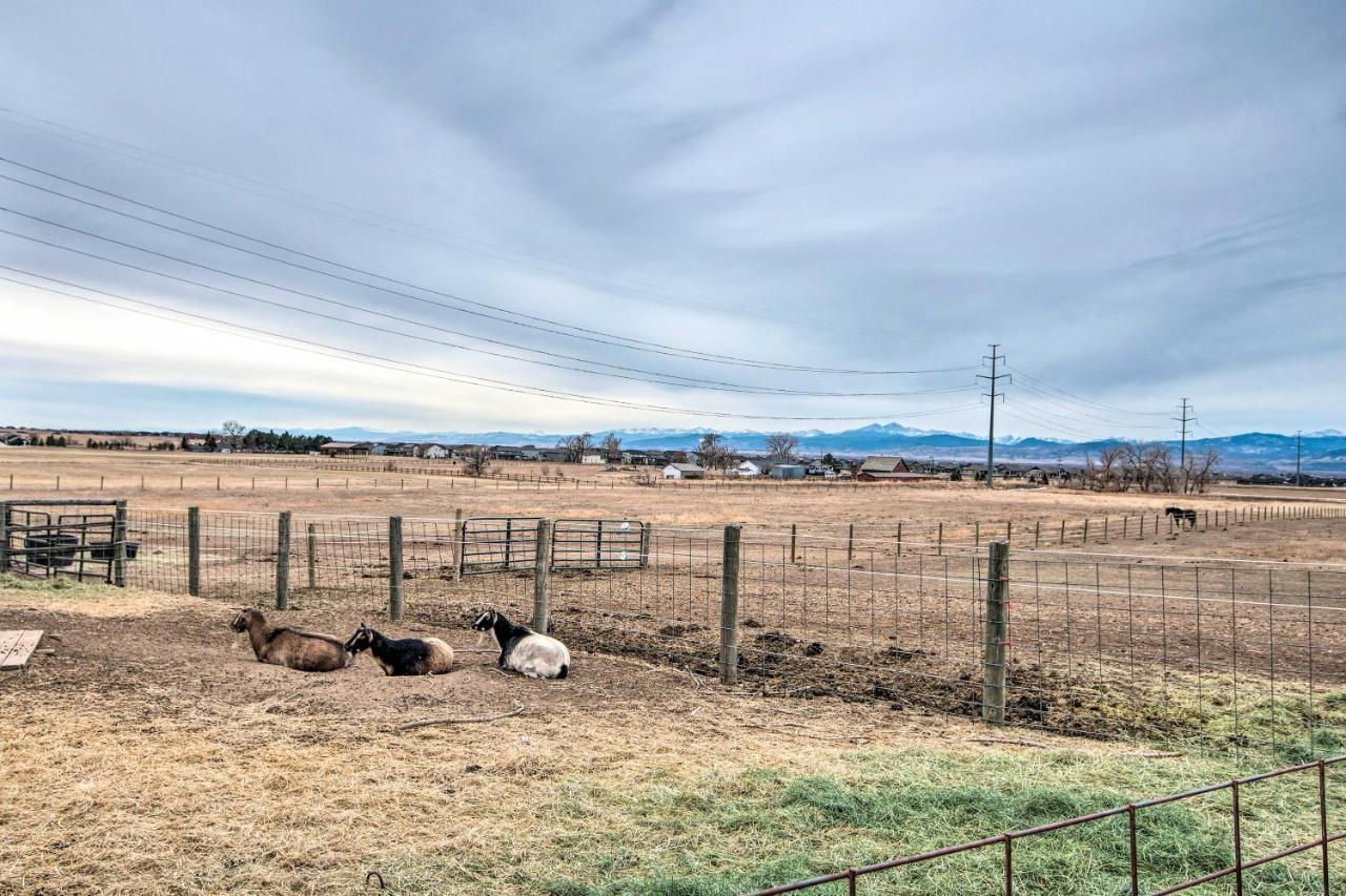 Lovely Barn Loft With Mountain Views On Horse Estate Apartment Fort Collins