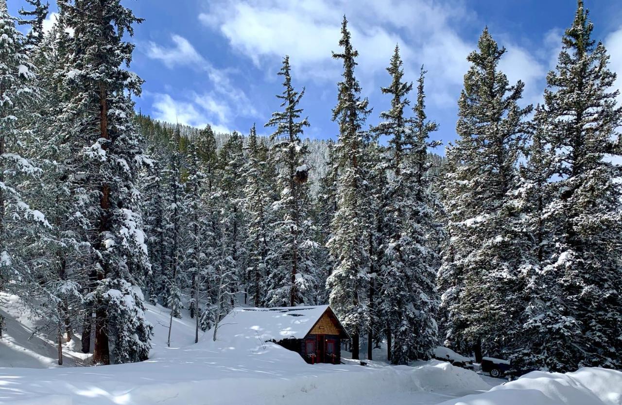 Resort Pioneer Guest Crested Butte