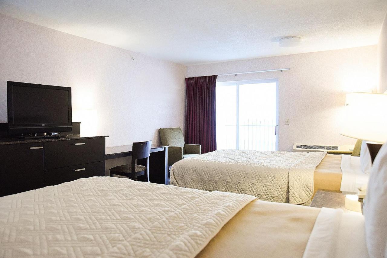 Hotel Argo And 2*