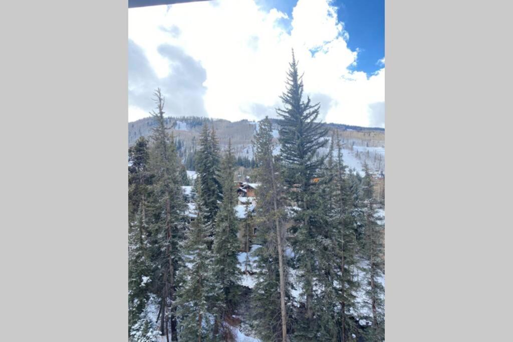 Creek View And Mountain View In Town. Unbeatable Location Vail