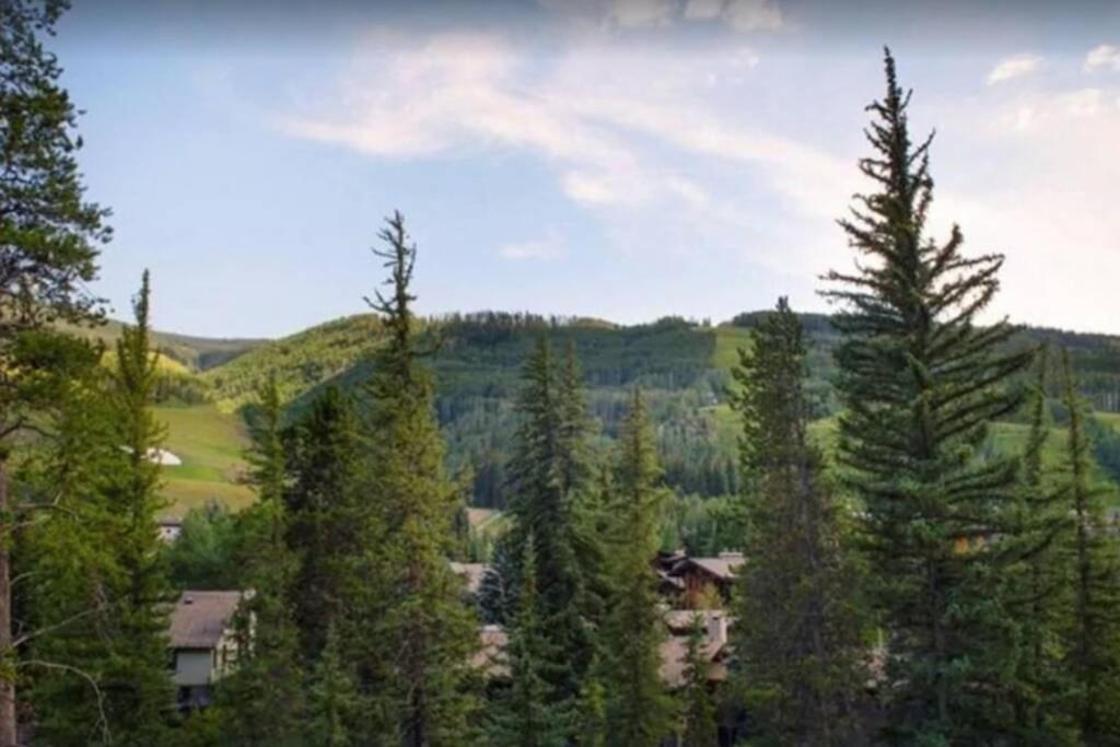Apartment Creek View And Mountain View In Town. Unbeatable Location