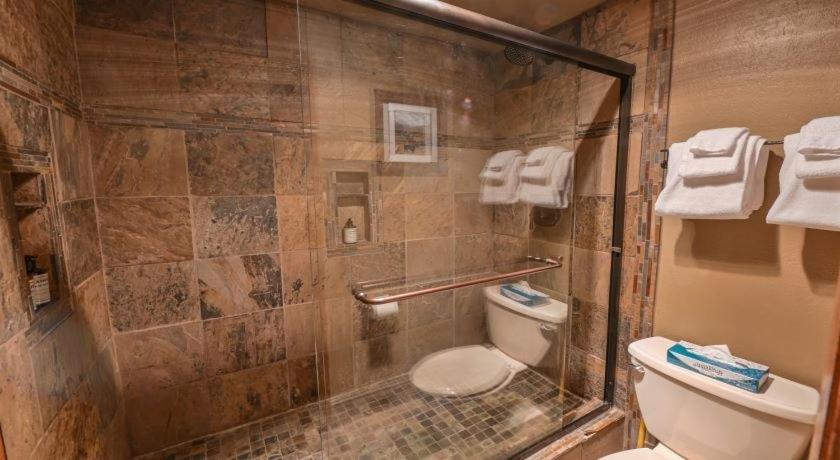 Apartment Gorgeous & Modern 3 Bedroom Plaza Crested Butte