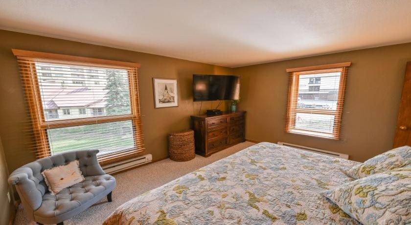 Gorgeous & Modern 3 Bedroom Plaza Crested Butte