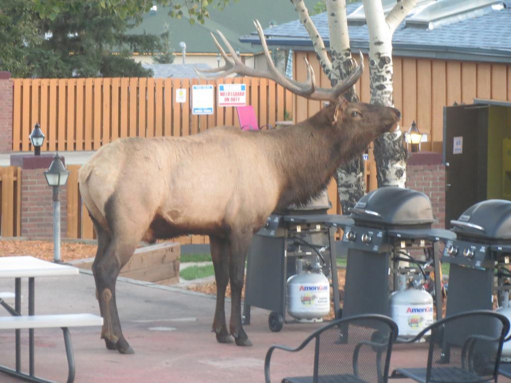 Hotel Murphy's Estes Park