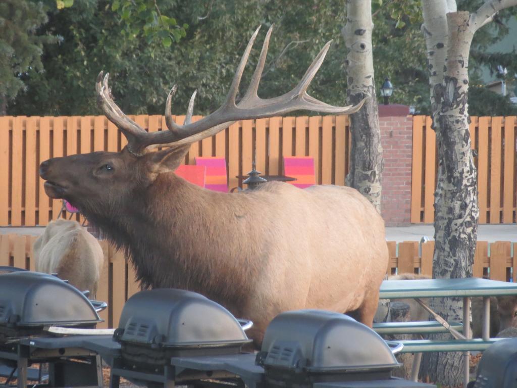 Murphy's 3* Estes Park