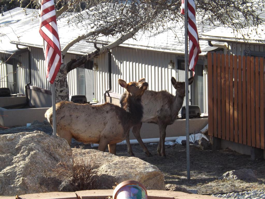 Hotel Murphy's Estes Park