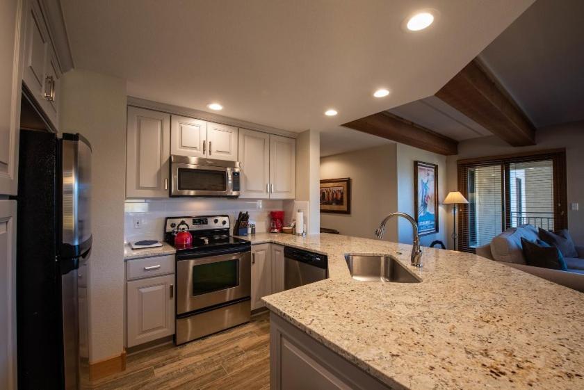 Mountain-contemporary 2 Bedroom Apartment Crested Butte