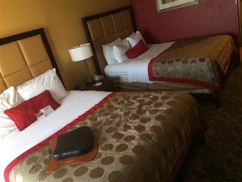 Delta By Marriott Denver Thornton Hotel 3*