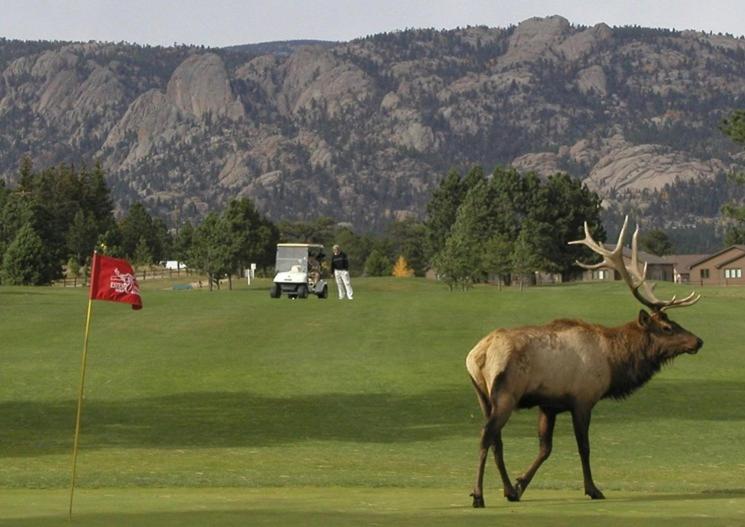 Lily Mountain - Amazing Mountains Views, Private Hot Tub, Great Location Estes Park