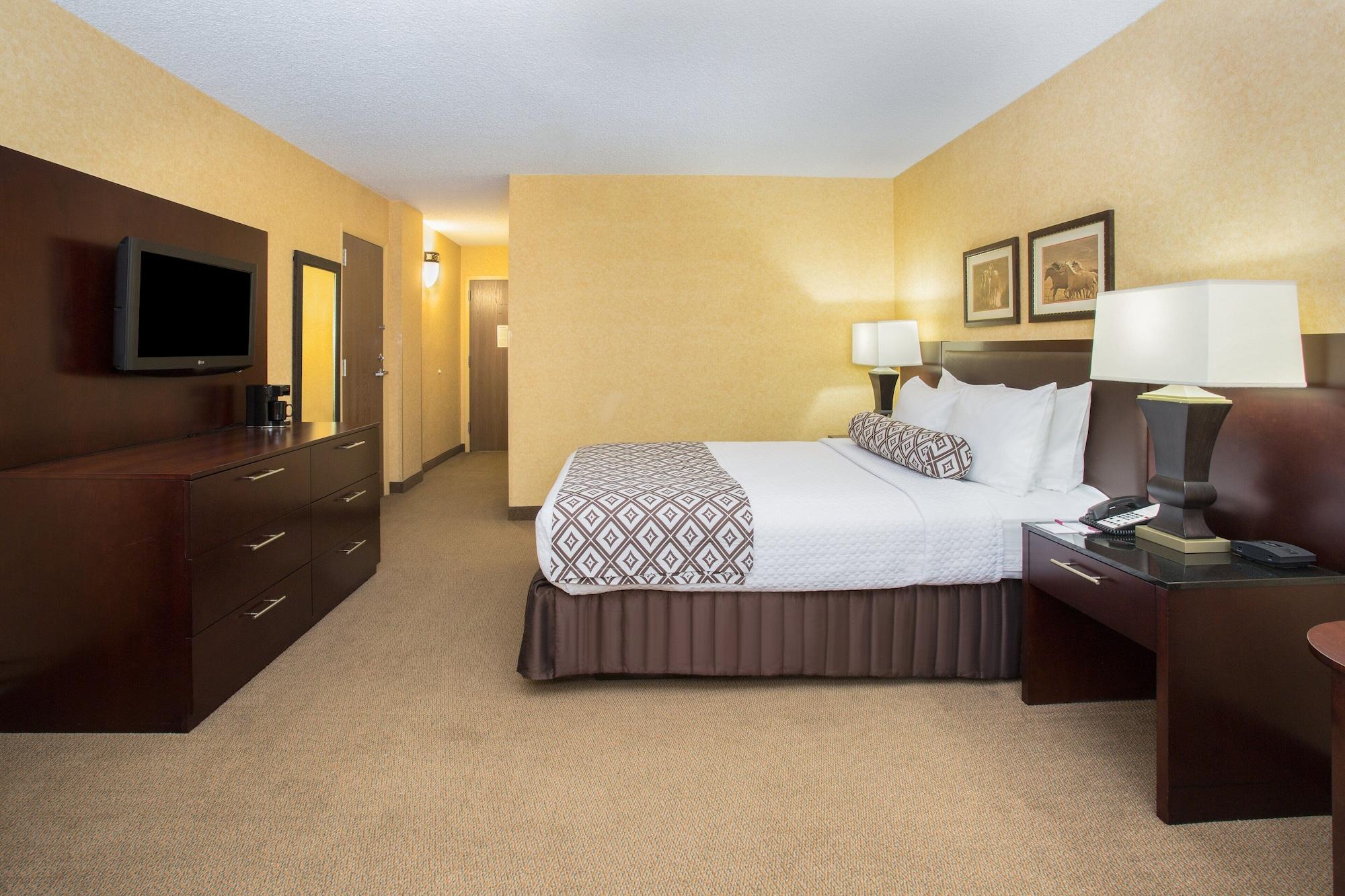 Hotel Crowne Plaza International Airport, An Ihg DEN