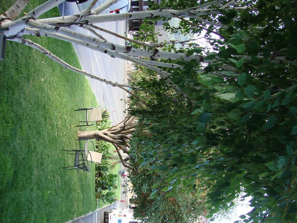 Silver Spruce 2* Glenwood Springs