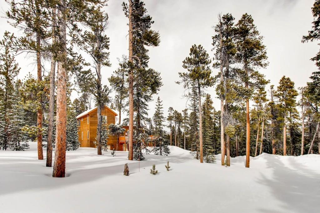 Serene Mountain Nestled Amongst The Pines - Alpenhaus *