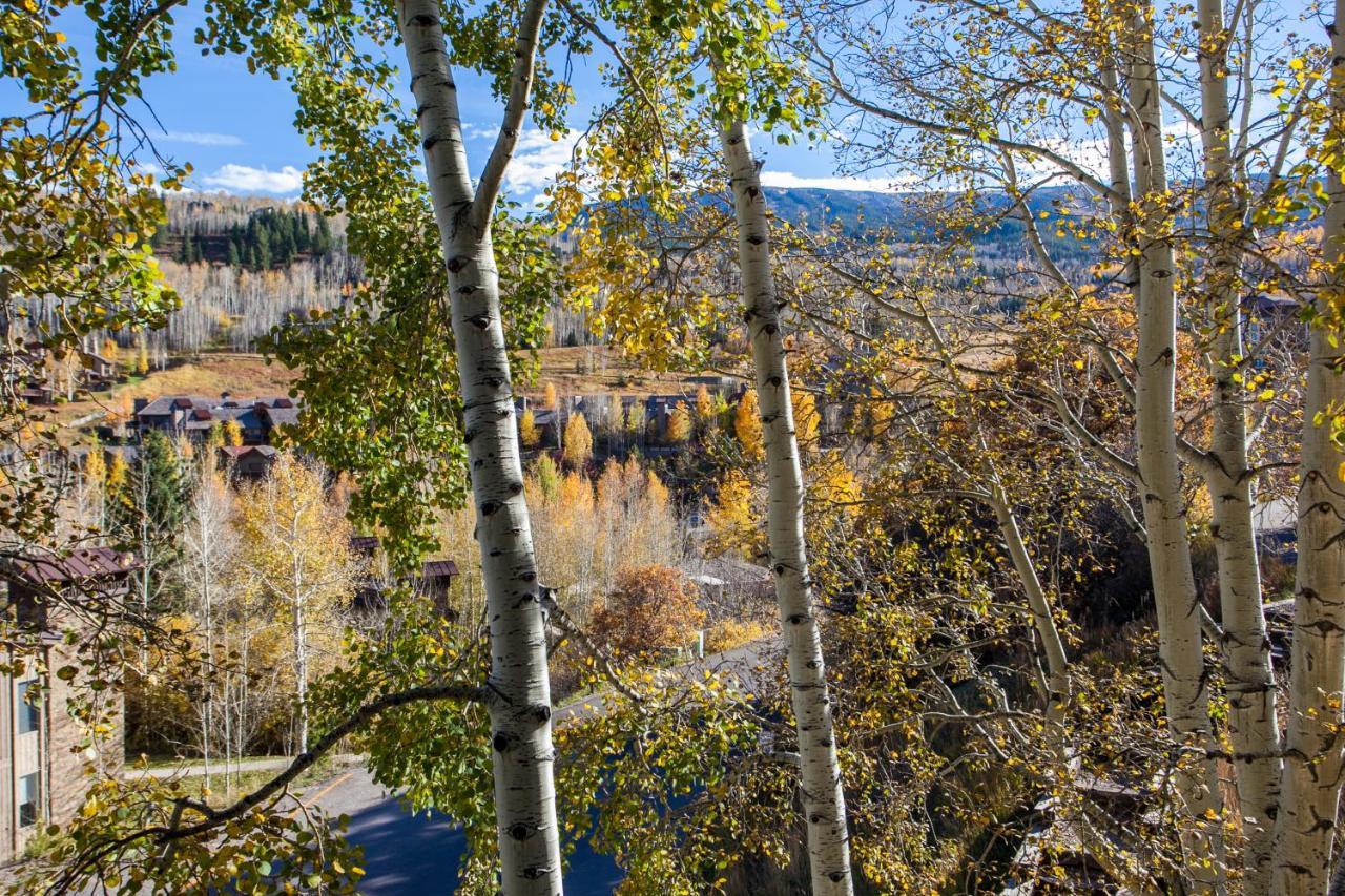 Woodbridge By Snowmass Vacations Snowmass Village