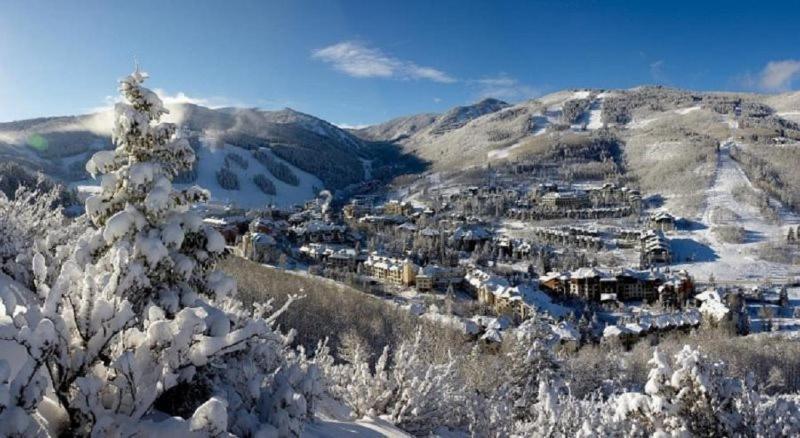 Apartment Ski-in Ski-out Alpine Condo: Amenities & Wellness Beaver Creek