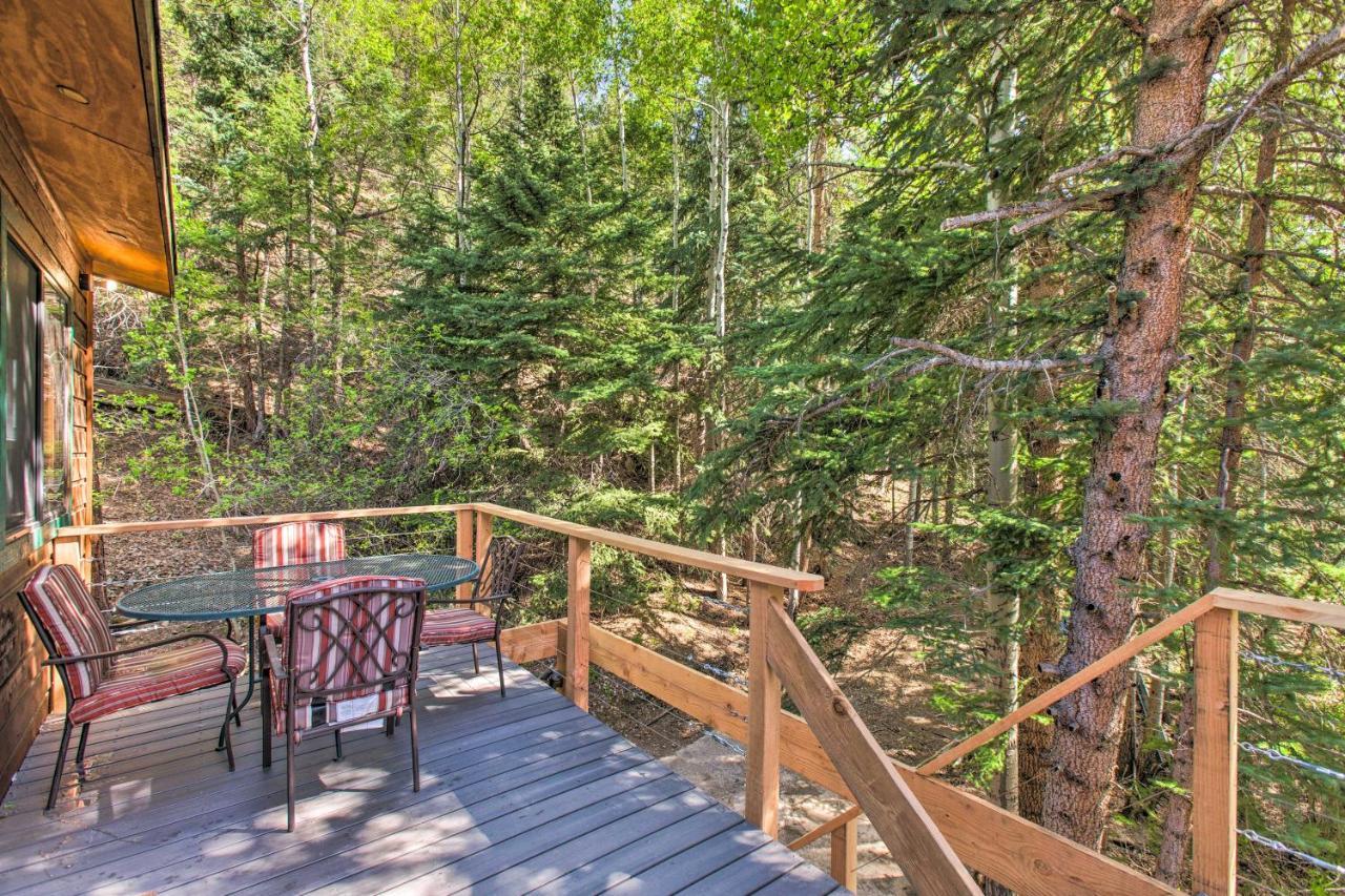 Chicago Creek 1 Mi To Mt Blue Sky! Apartment *