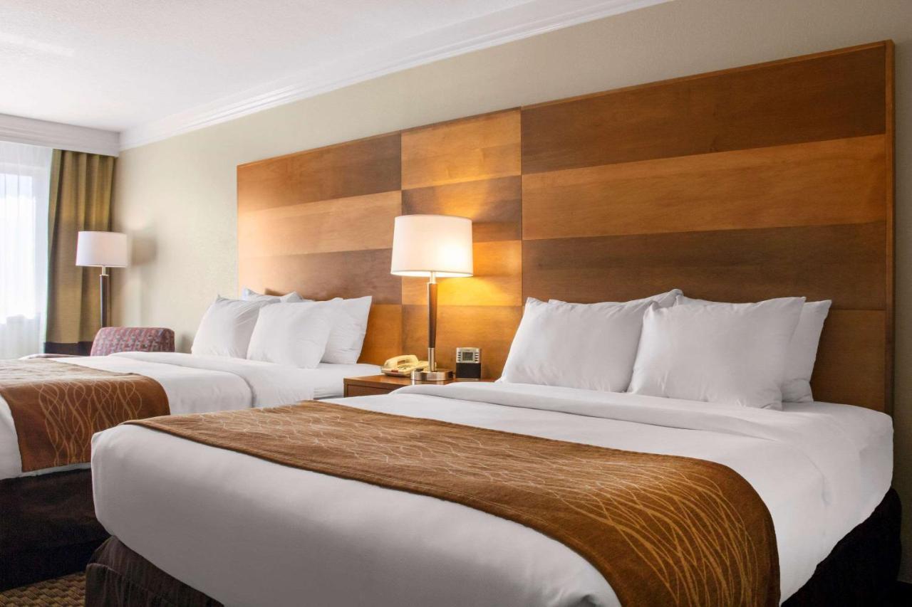 Comfort & Hotel Durango
