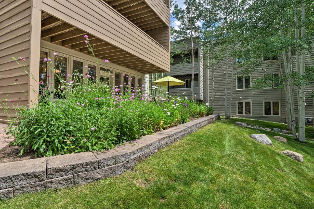 Updated 10-min Walk To Lionshead Village Apartment
