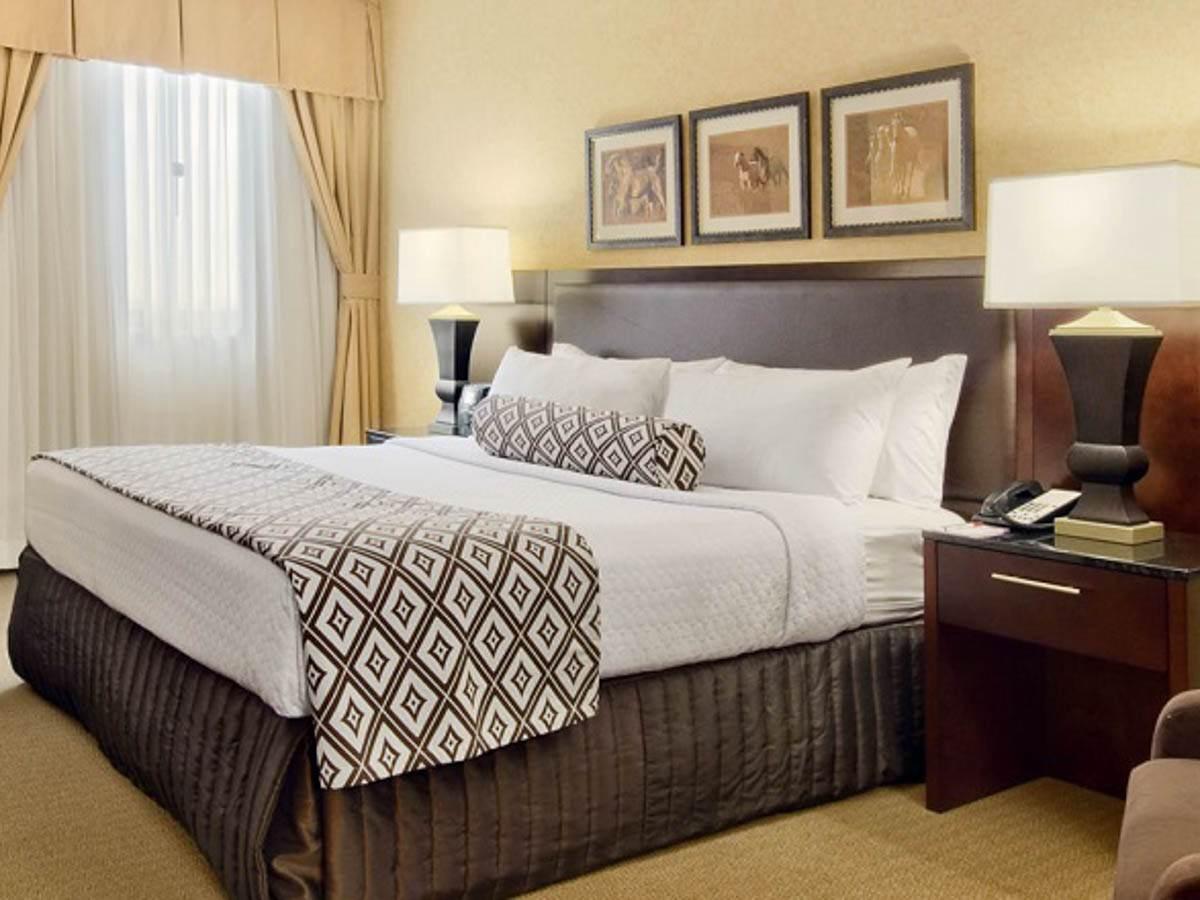 Hotel Crowne Plaza International Airport, An Ihg DEN
