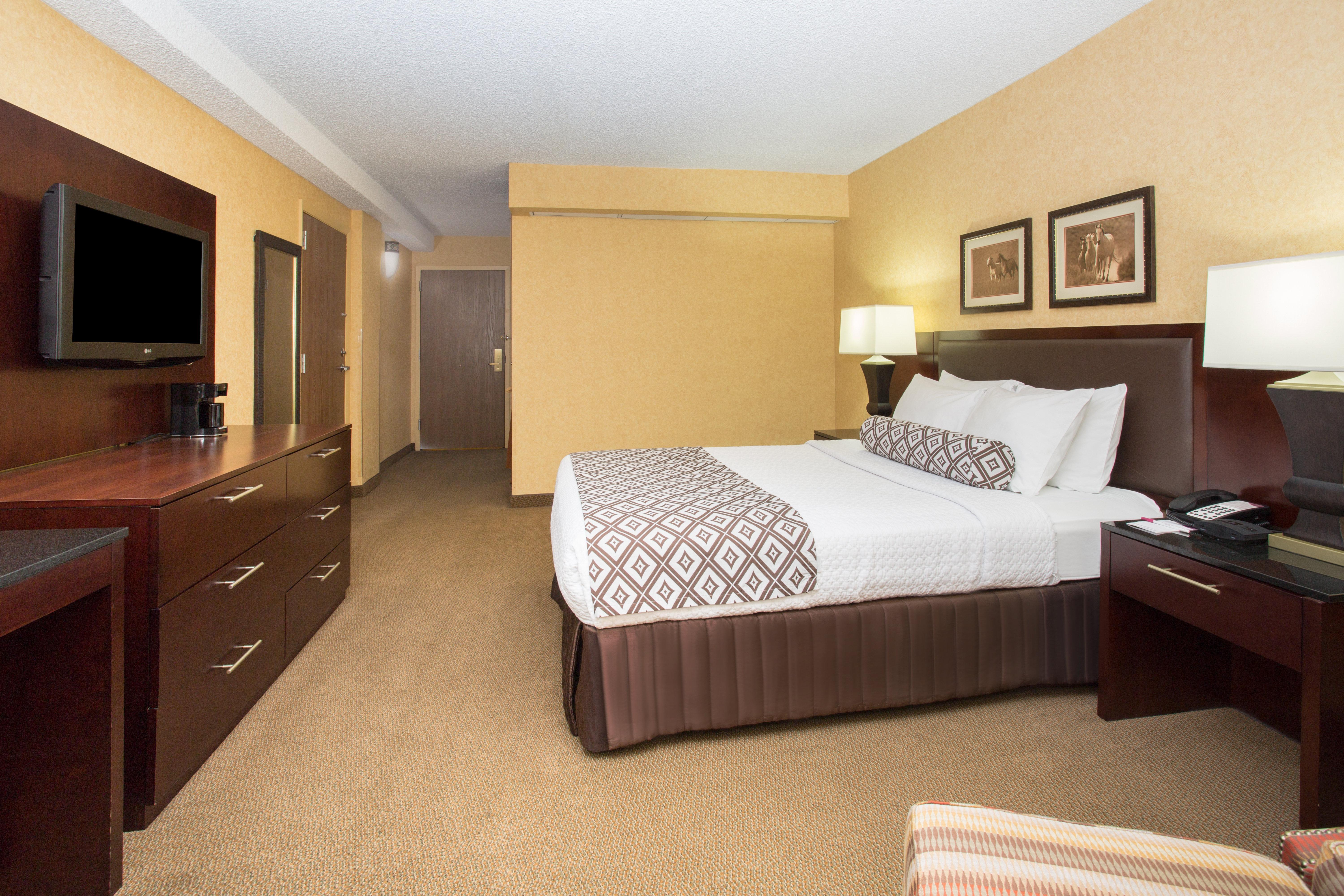 Crowne Plaza International Airport, An Ihg 3* DEN