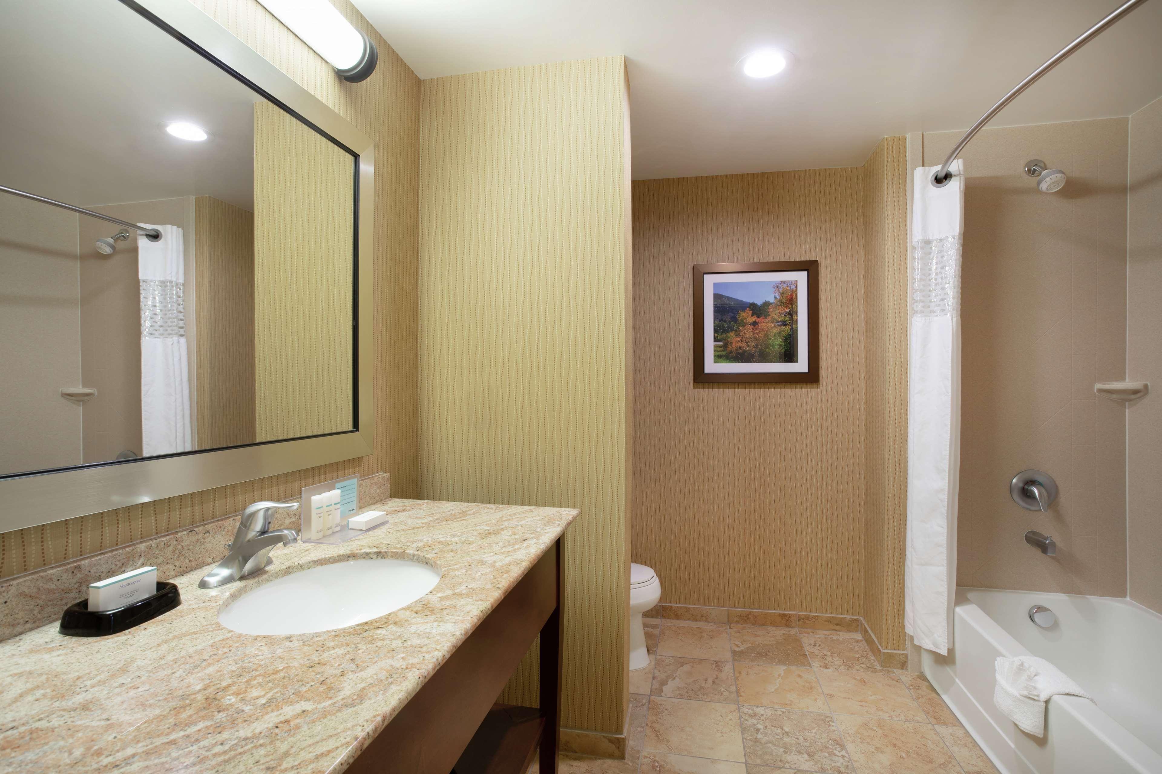 Hampton And Denver/south-ridgegate Hotel Lone Tree