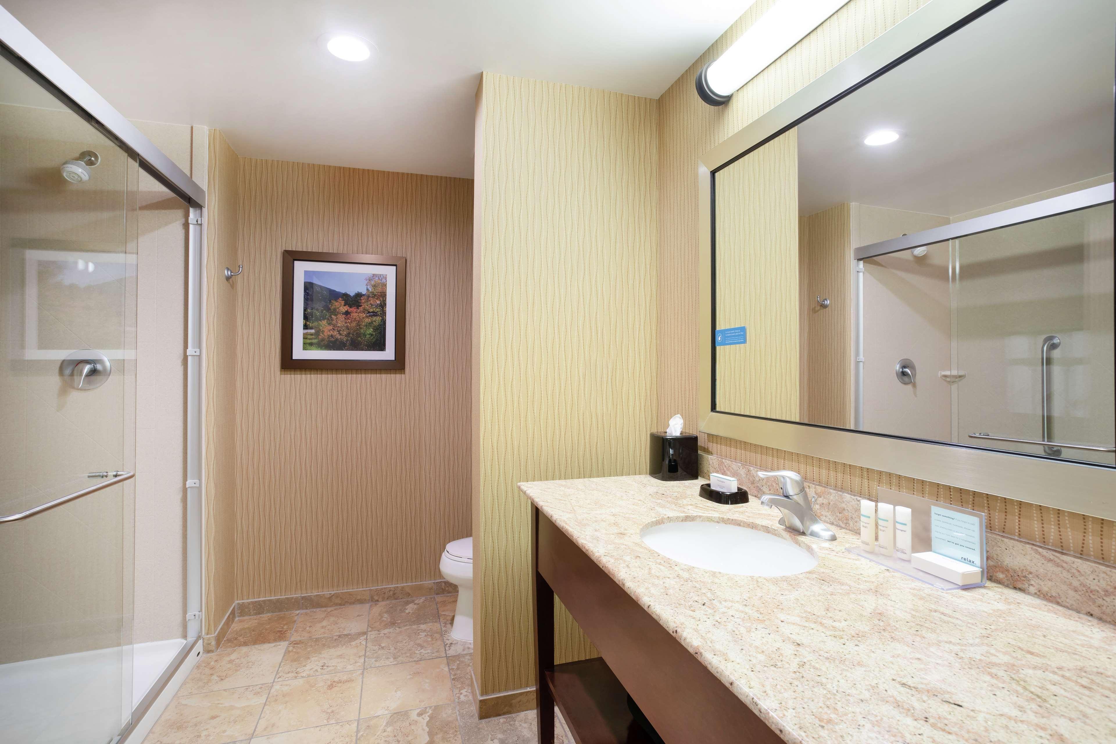 Hampton And Denver/south-ridgegate Hotel 3*