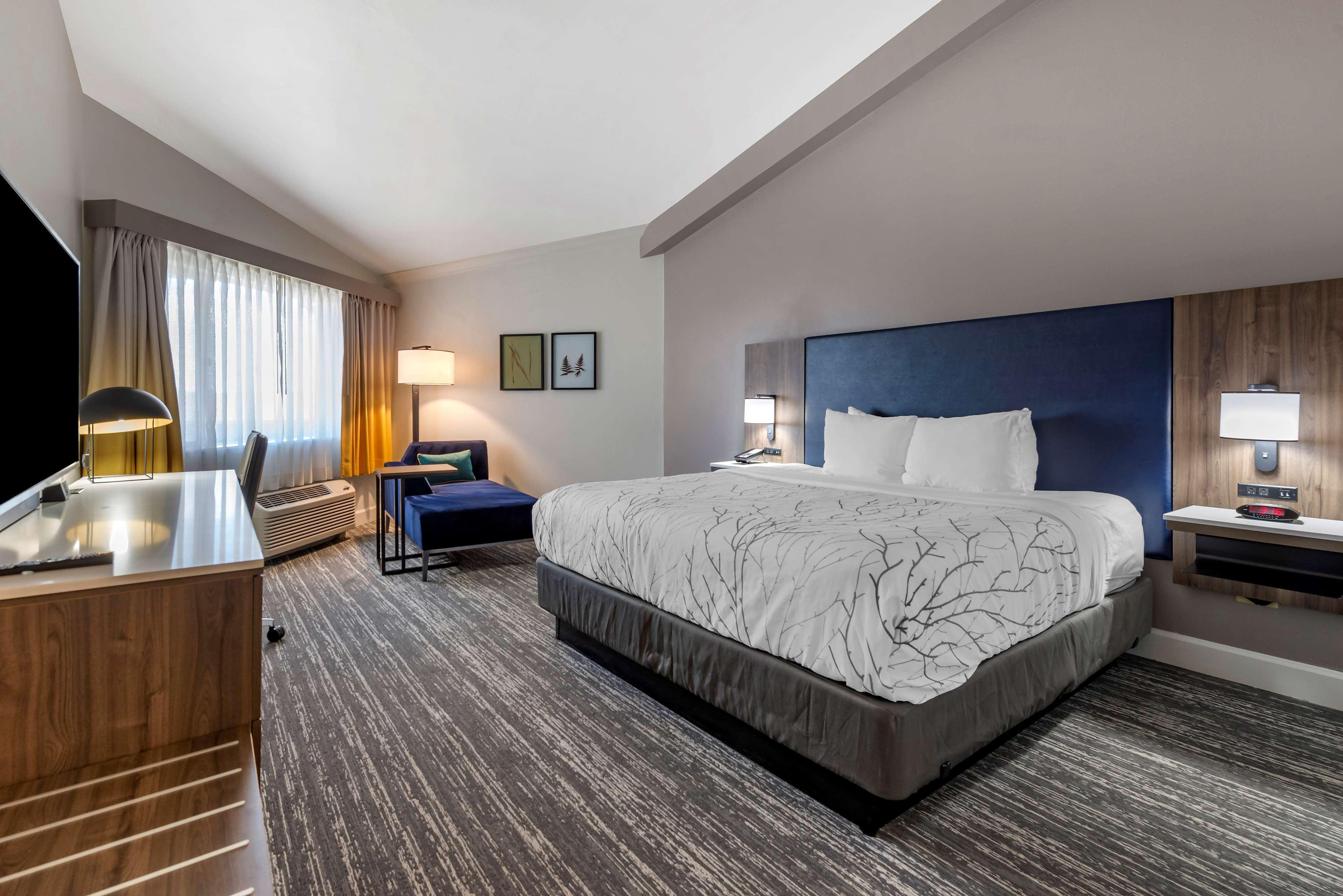 Western Premier East Denver