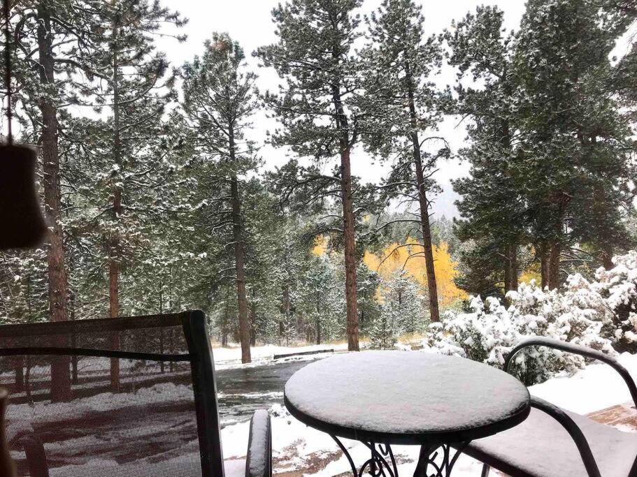 Private Hot Tub Overlooking Pikes Peak Apartment