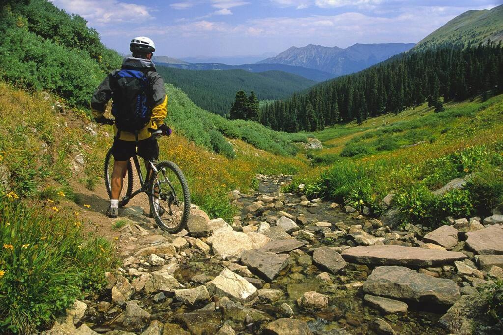 Apartment Grand Near Downtown Breck - For Summer! *