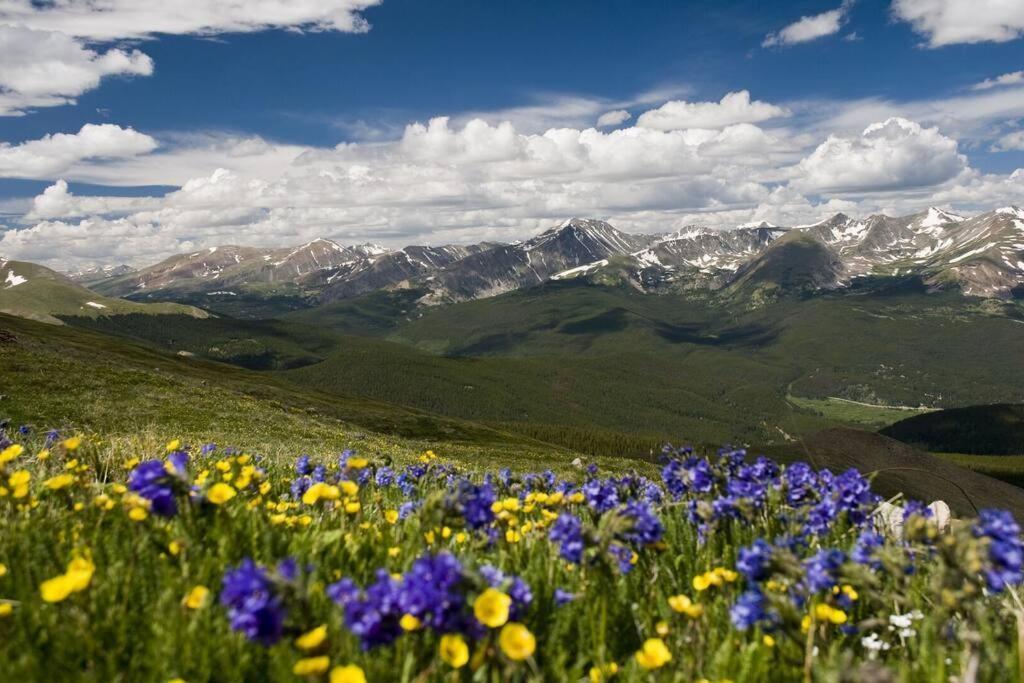 Grand Near Downtown Breck - For Summer! Breckenridge