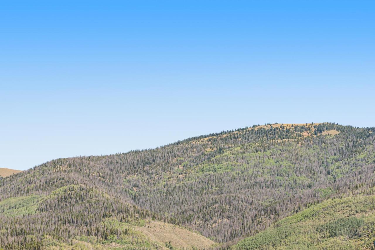 Peregrine Place * Silverthorne