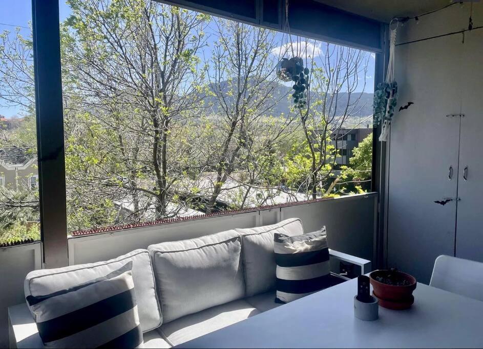 Apartment The Cutest And Coziest Little 1bd1ba Condo!