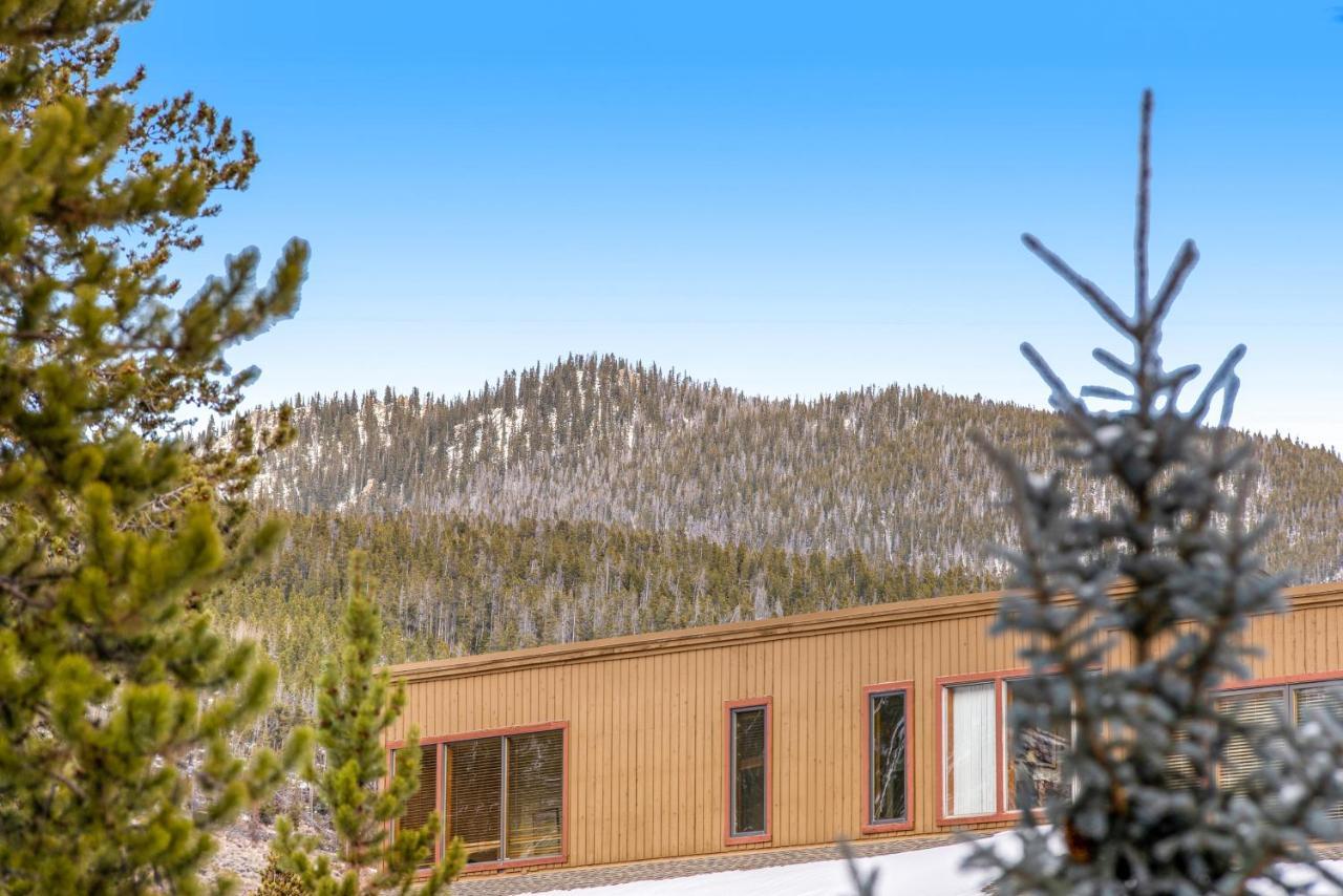 The Pines * Keystone