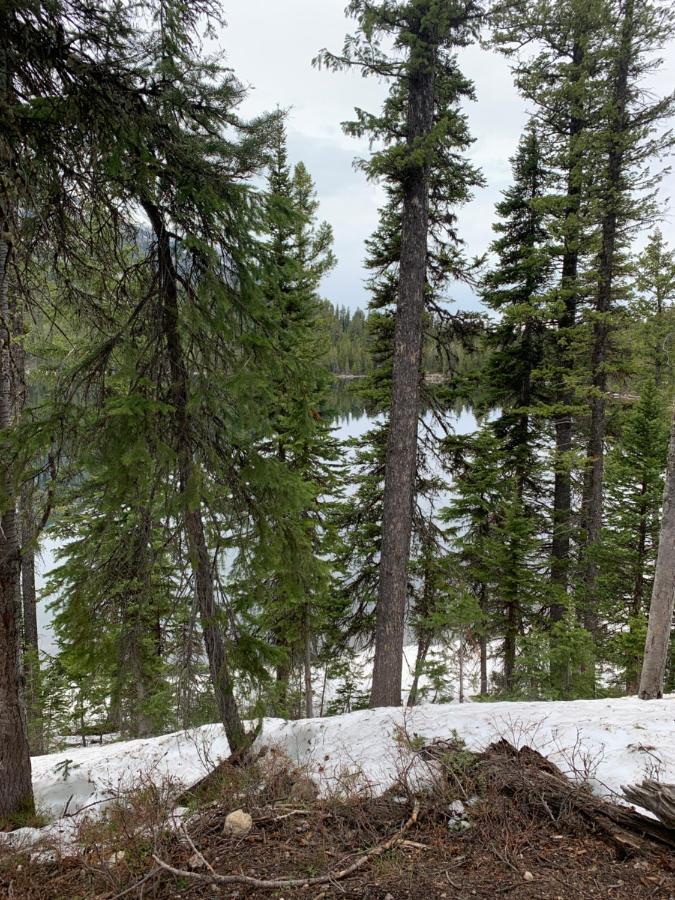 Hideaway Mountain * Fraser