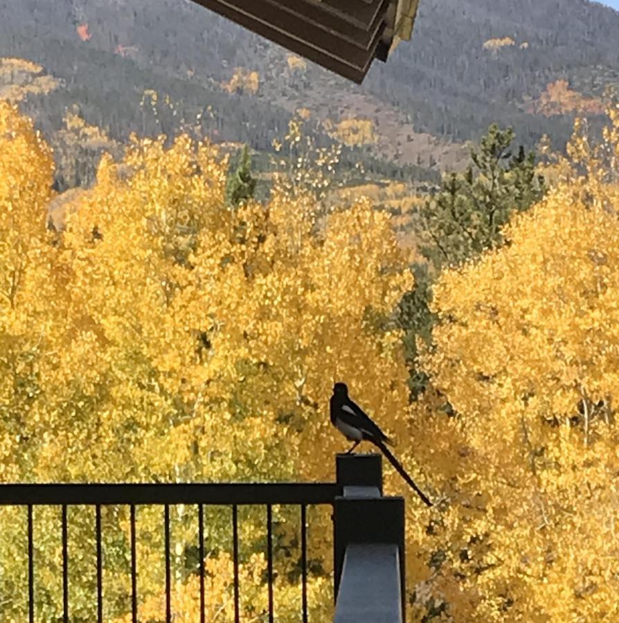 Hideaway Mountain